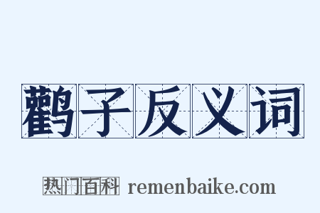 鹳子反义词是什么意思的图片